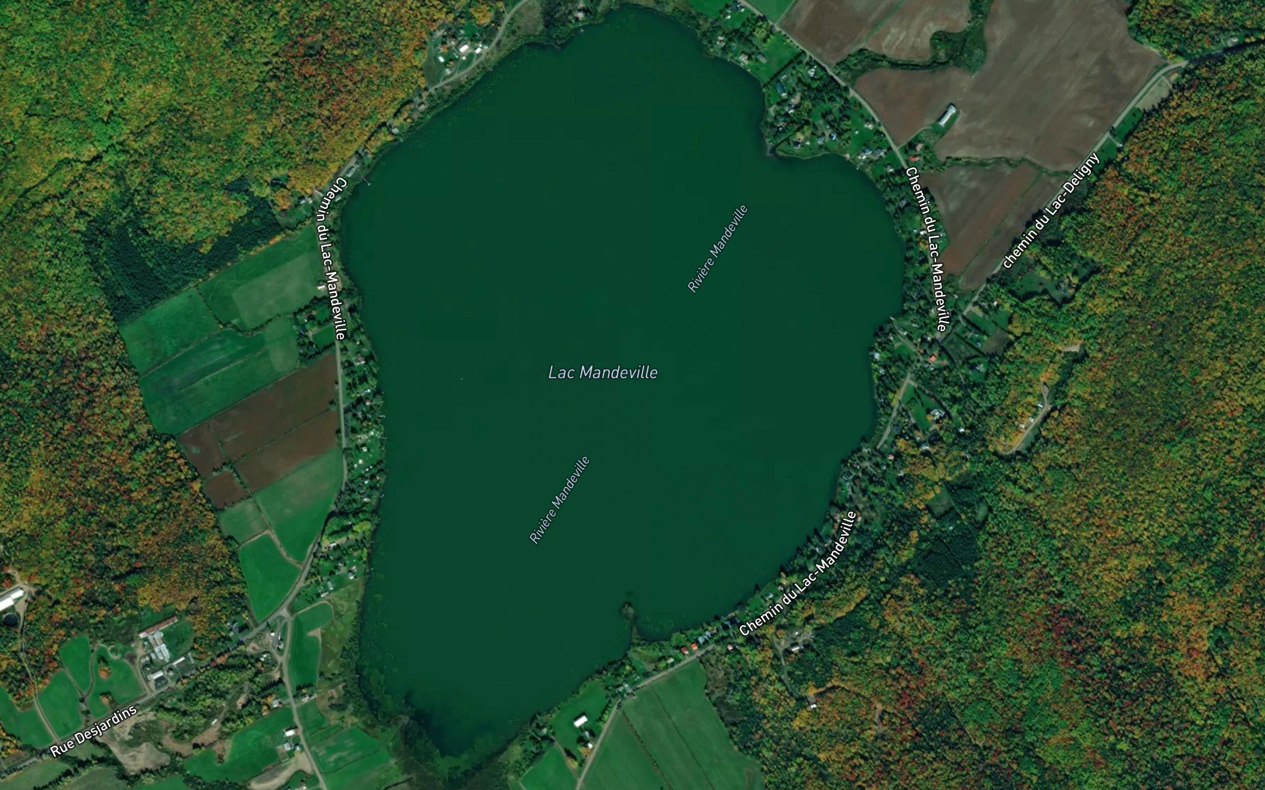 Lac Mandeville