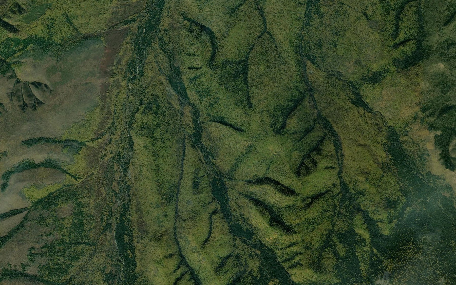 Satellite map of the Shumnyy