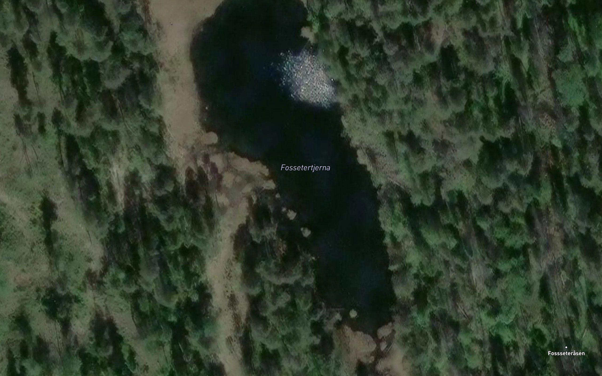 Fossetertjerna
