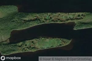 Guba Domashnyaya