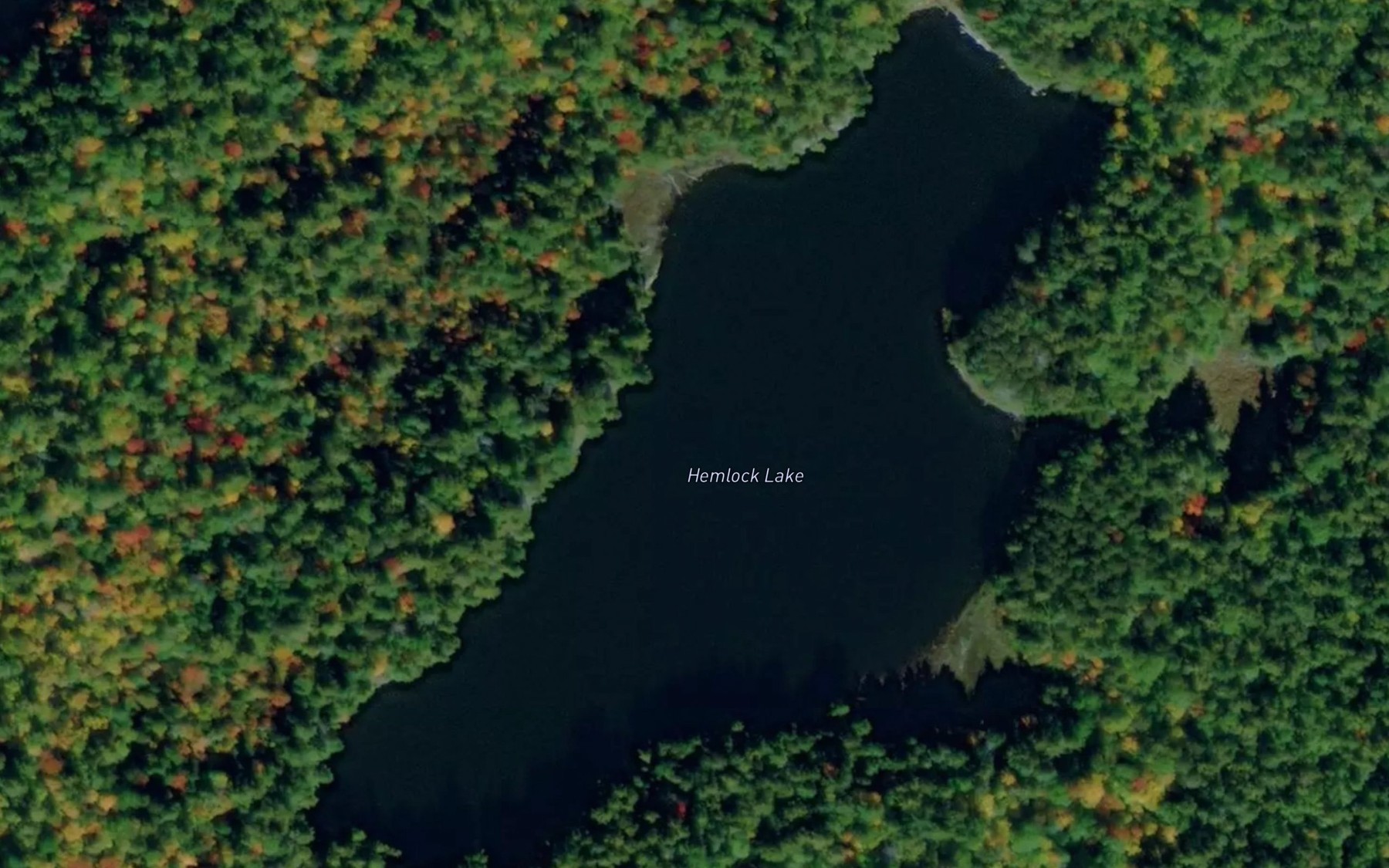 Satellite map of the Hemlock Lake