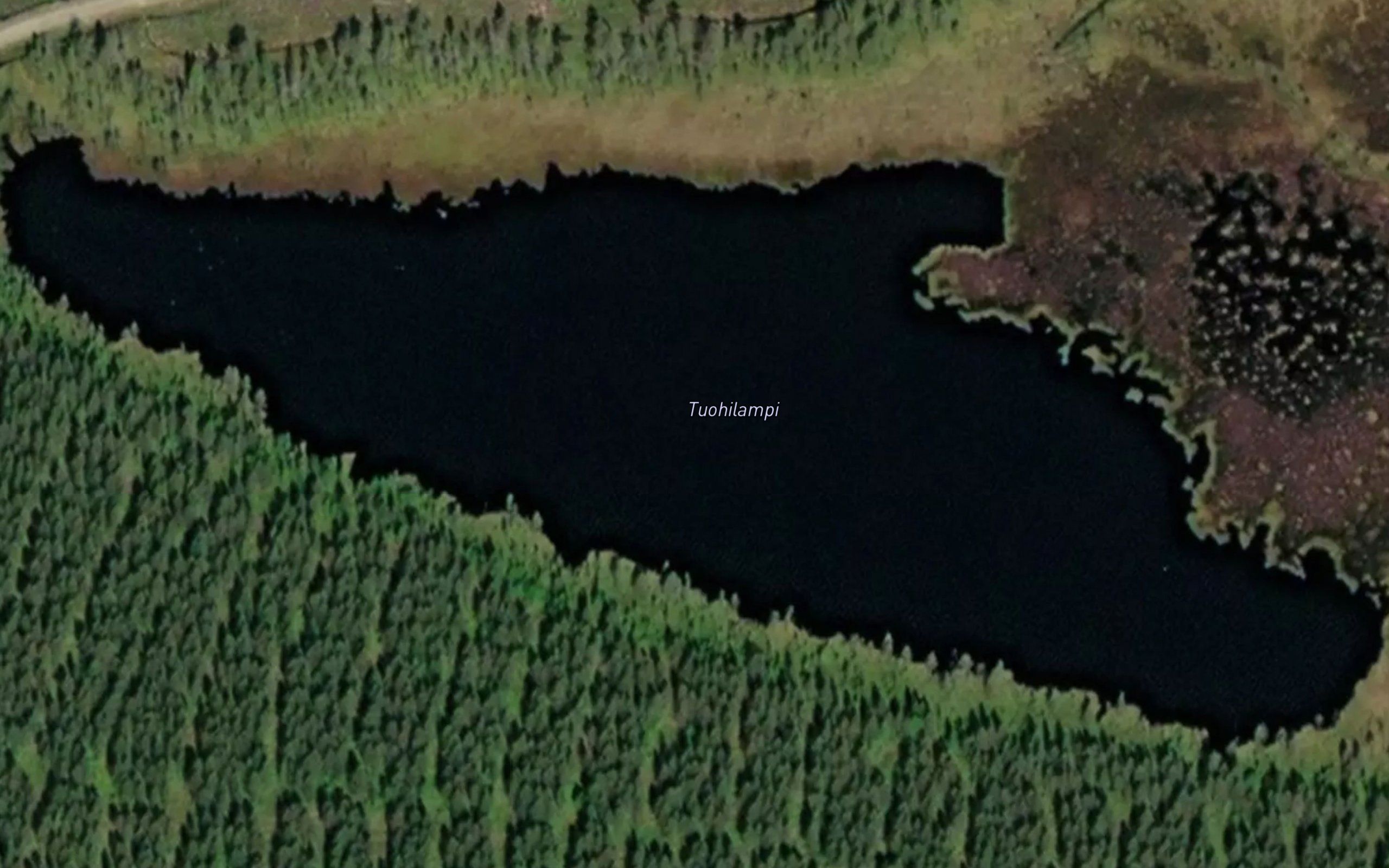Tuohilampi