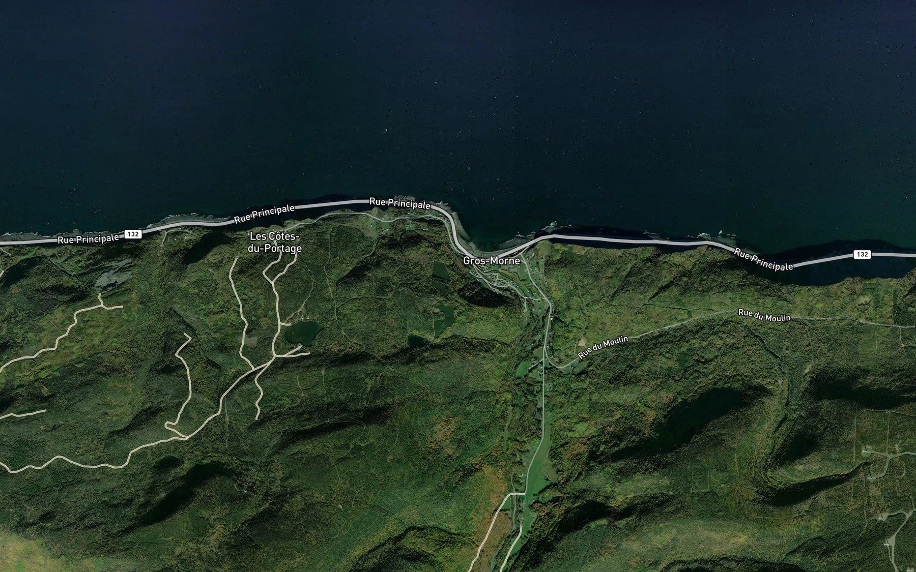 Satellite map of the Riviere du Gros Morne