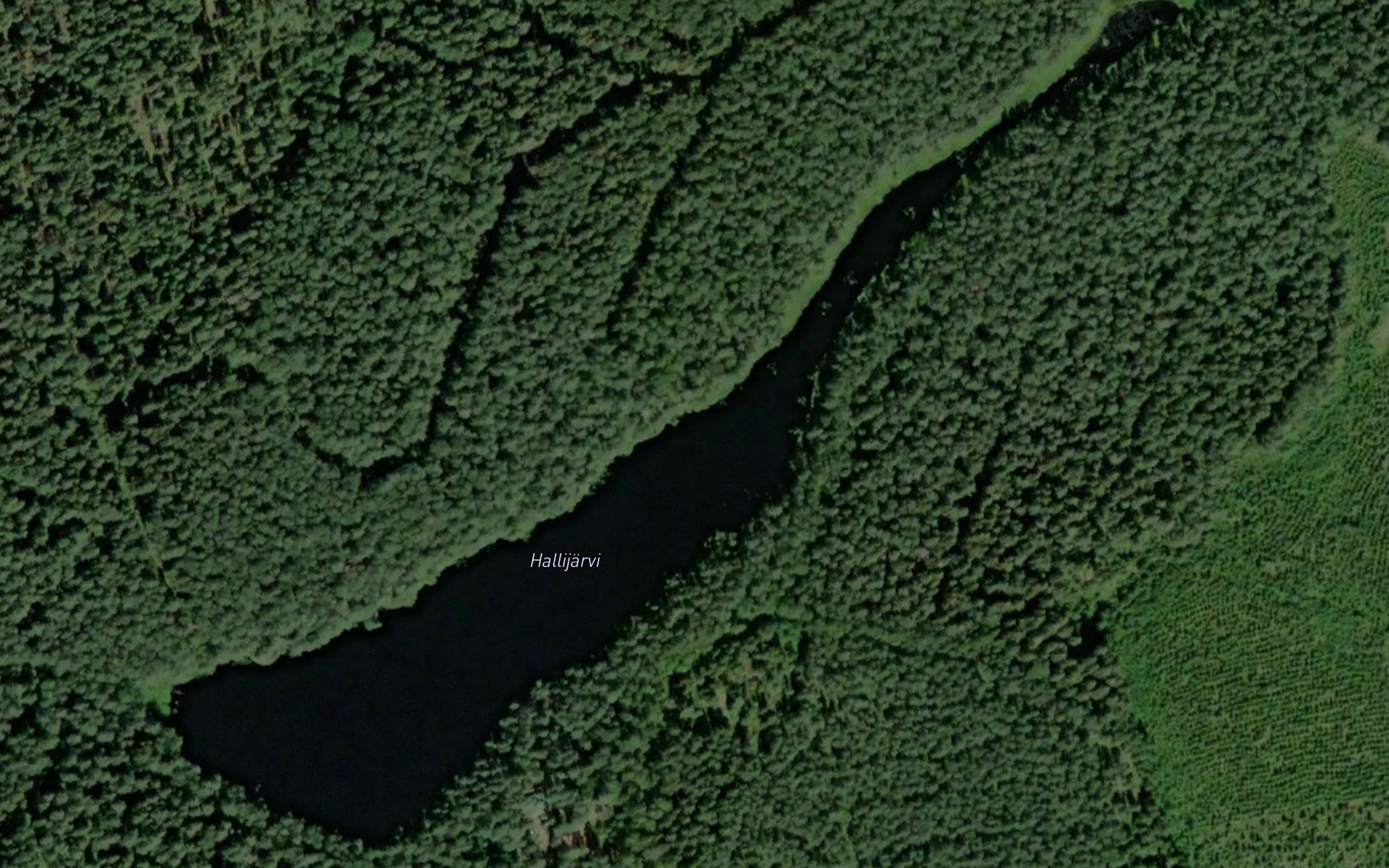 Hallijarvi