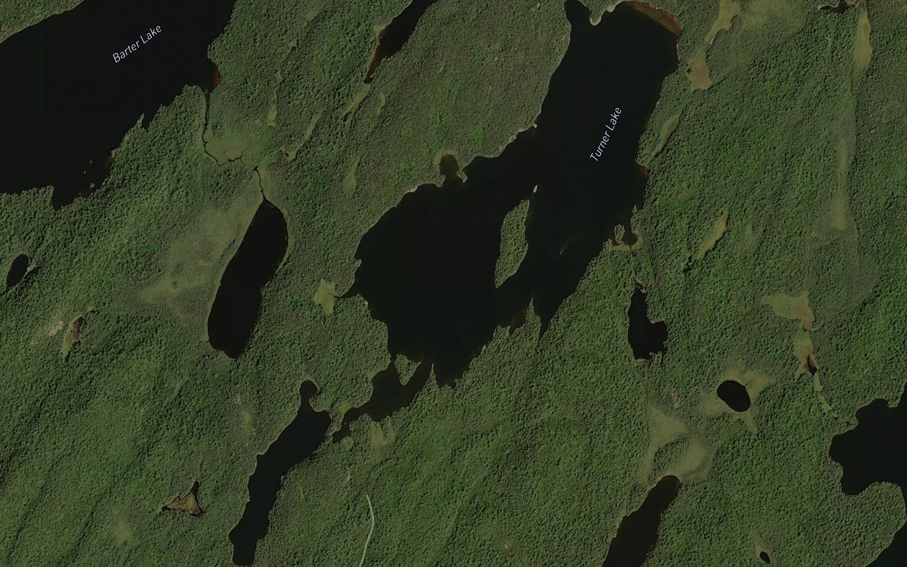 Satellite map of the Turner Lake