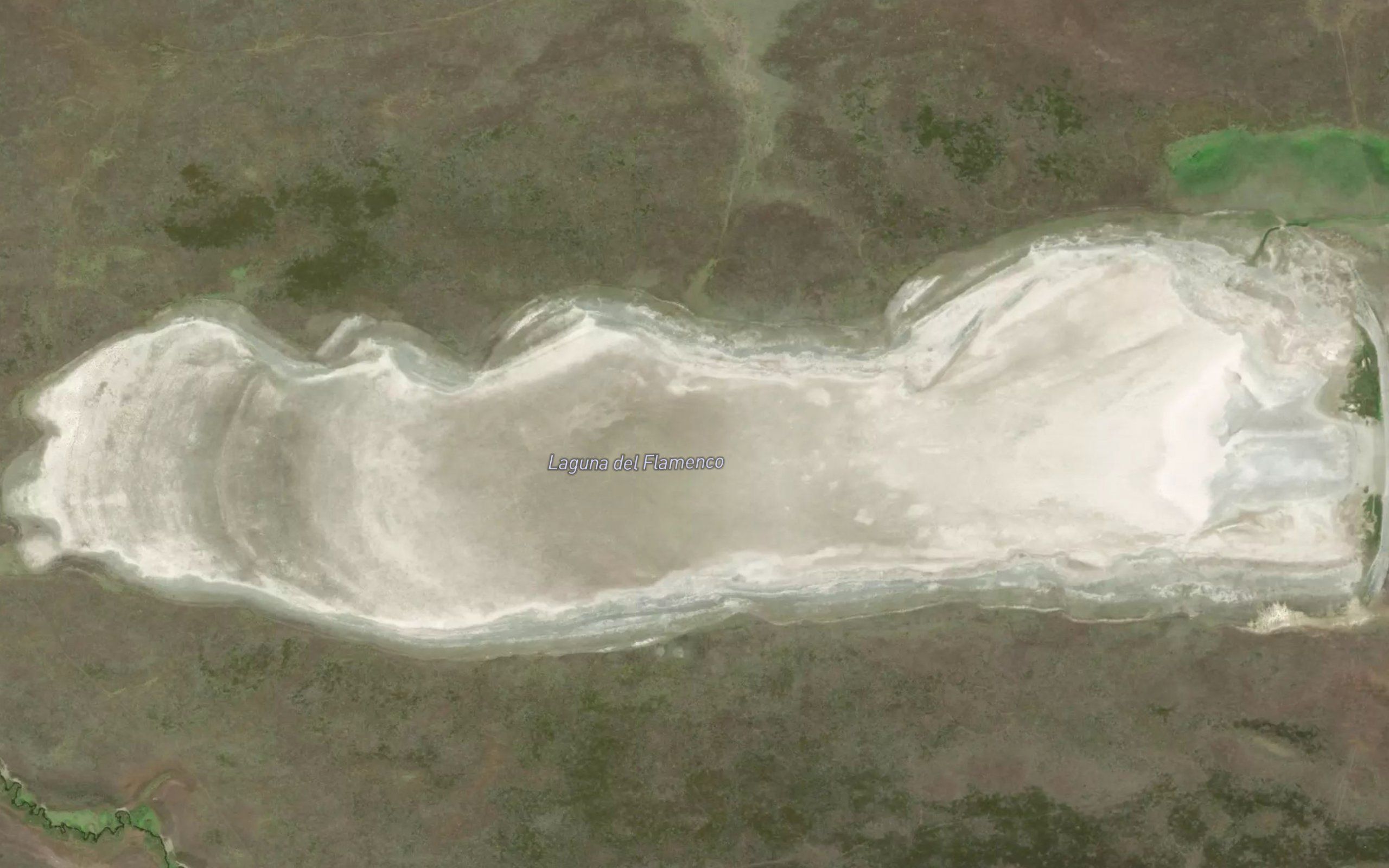 Laguna del Flamenco