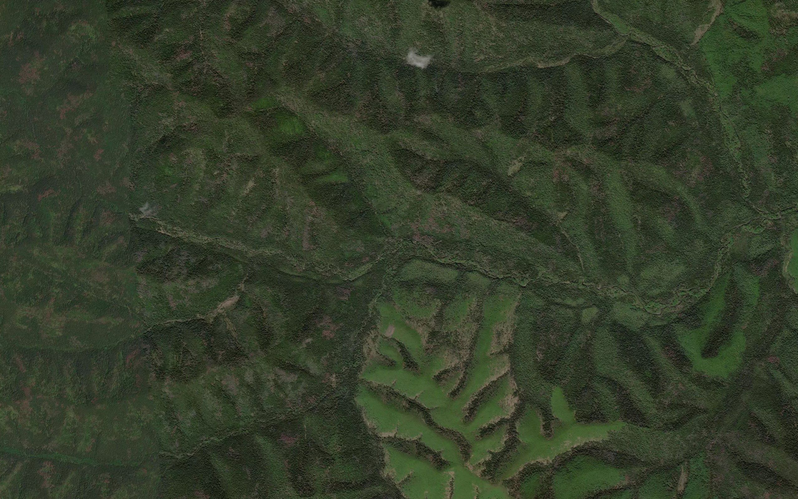 Oloso