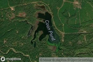 Coon Pond