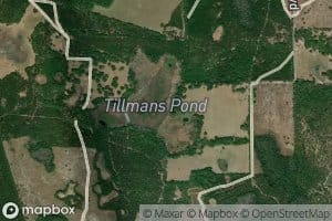 Tillmans Pond