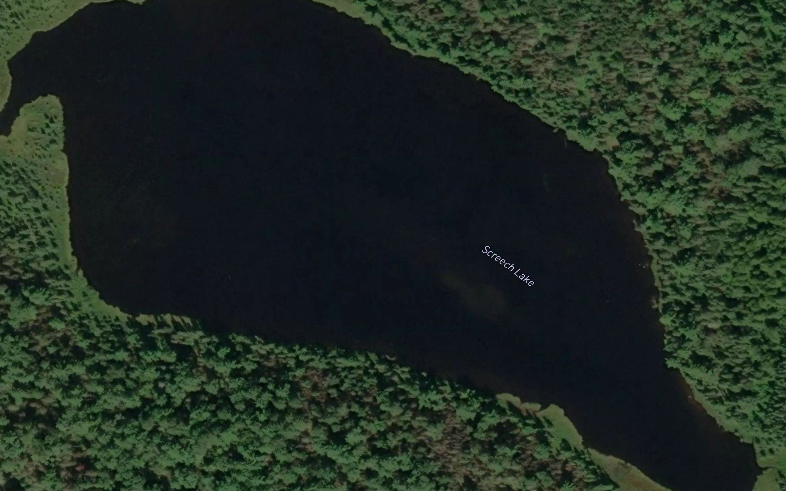 Screech Lake