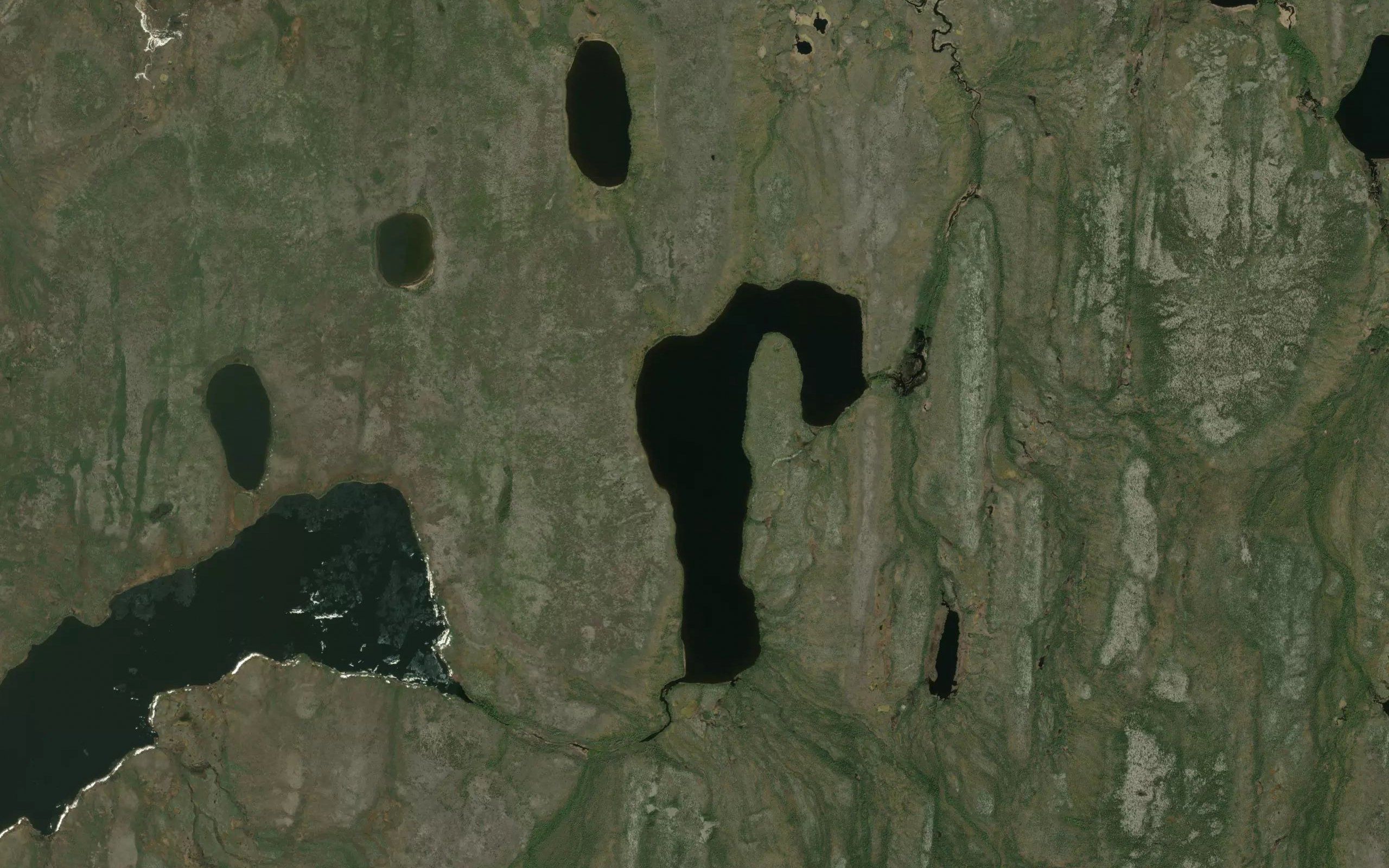 Rees Lake