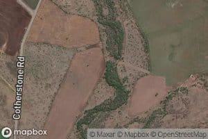 Magenta Creek