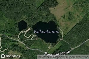 Valkealammi