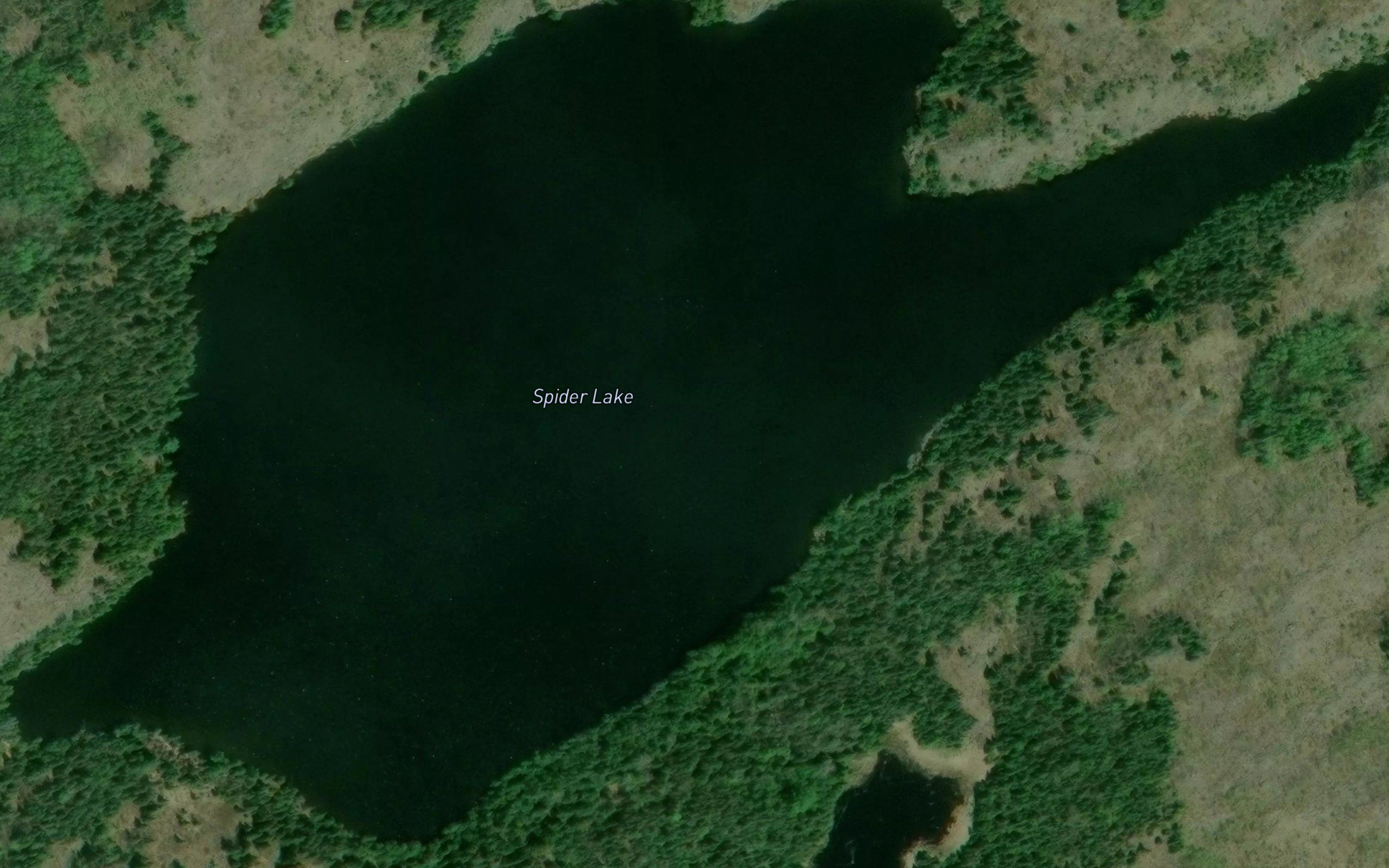 Spider Lake