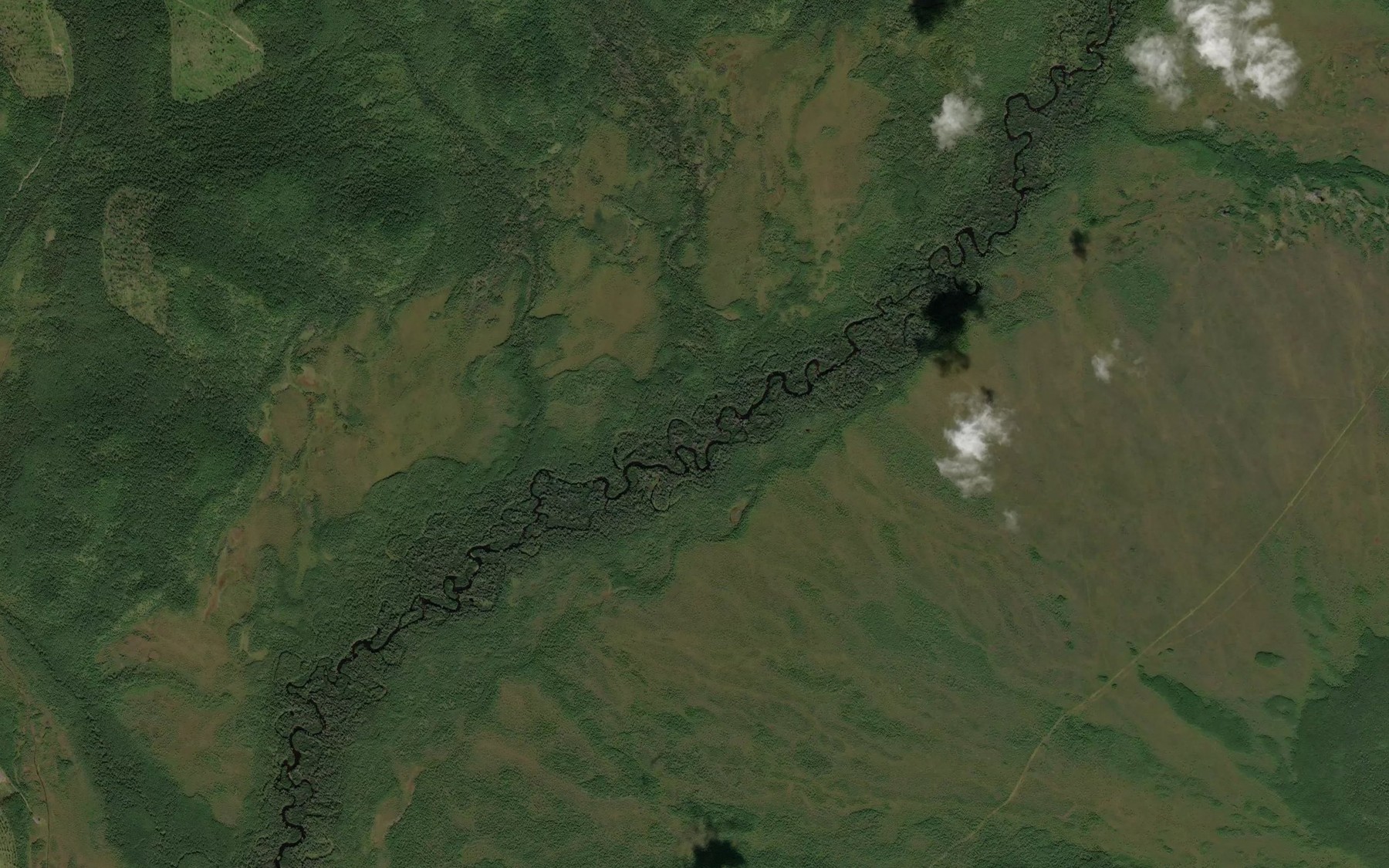 Satellite map of the Goremychnyy