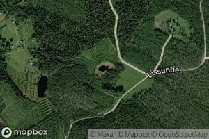 Lintulampi