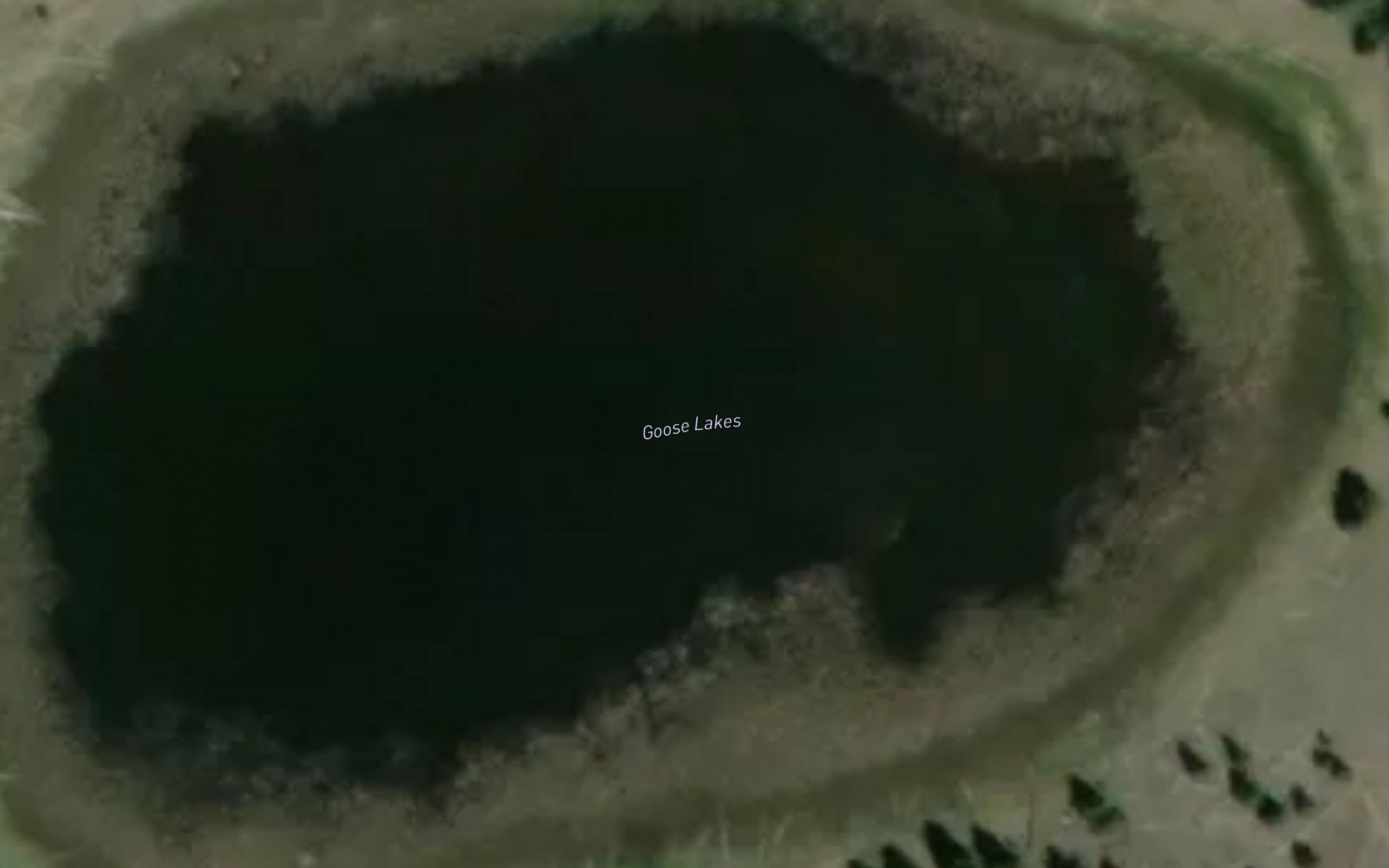 Goose Lakes