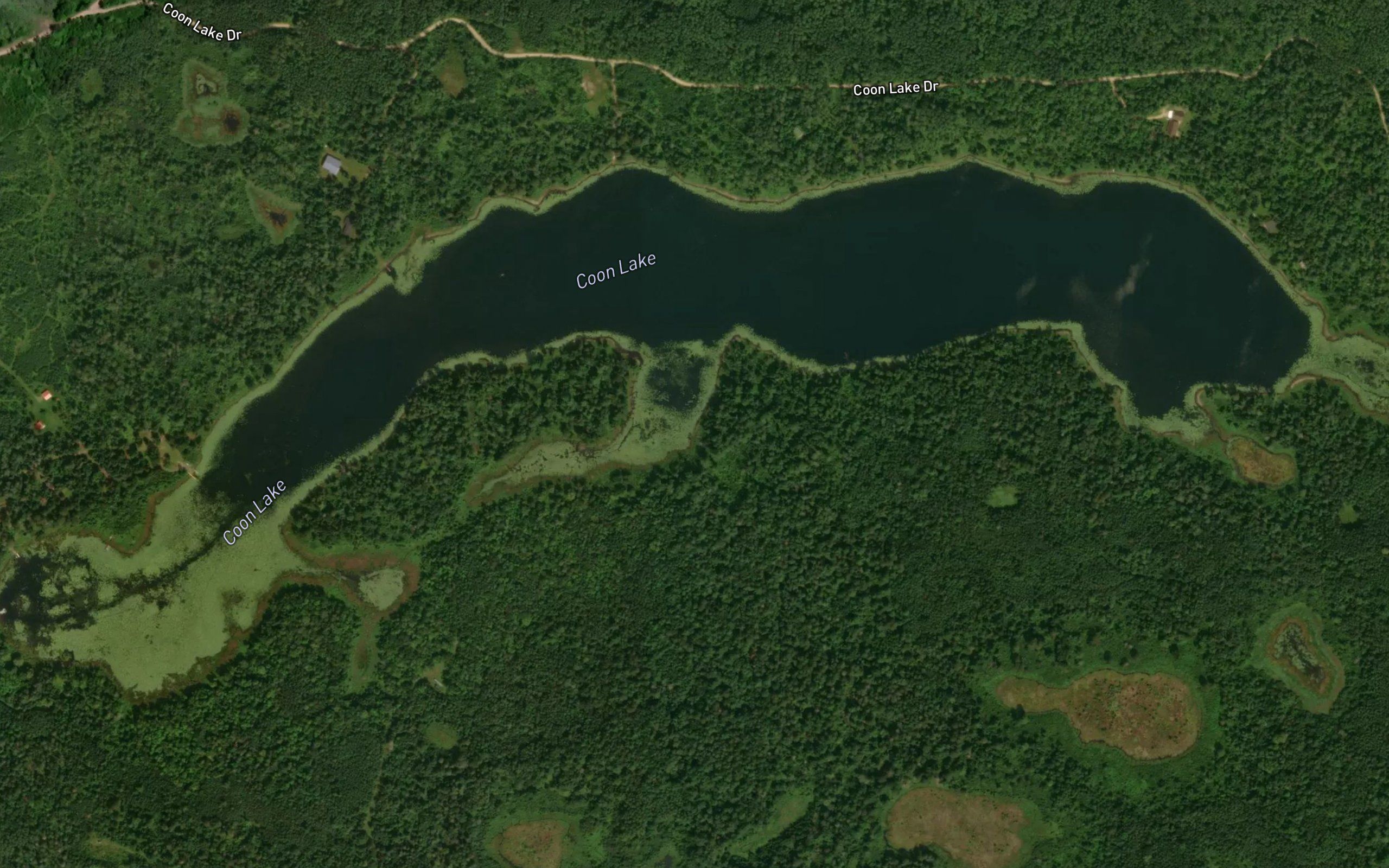Coon Lake