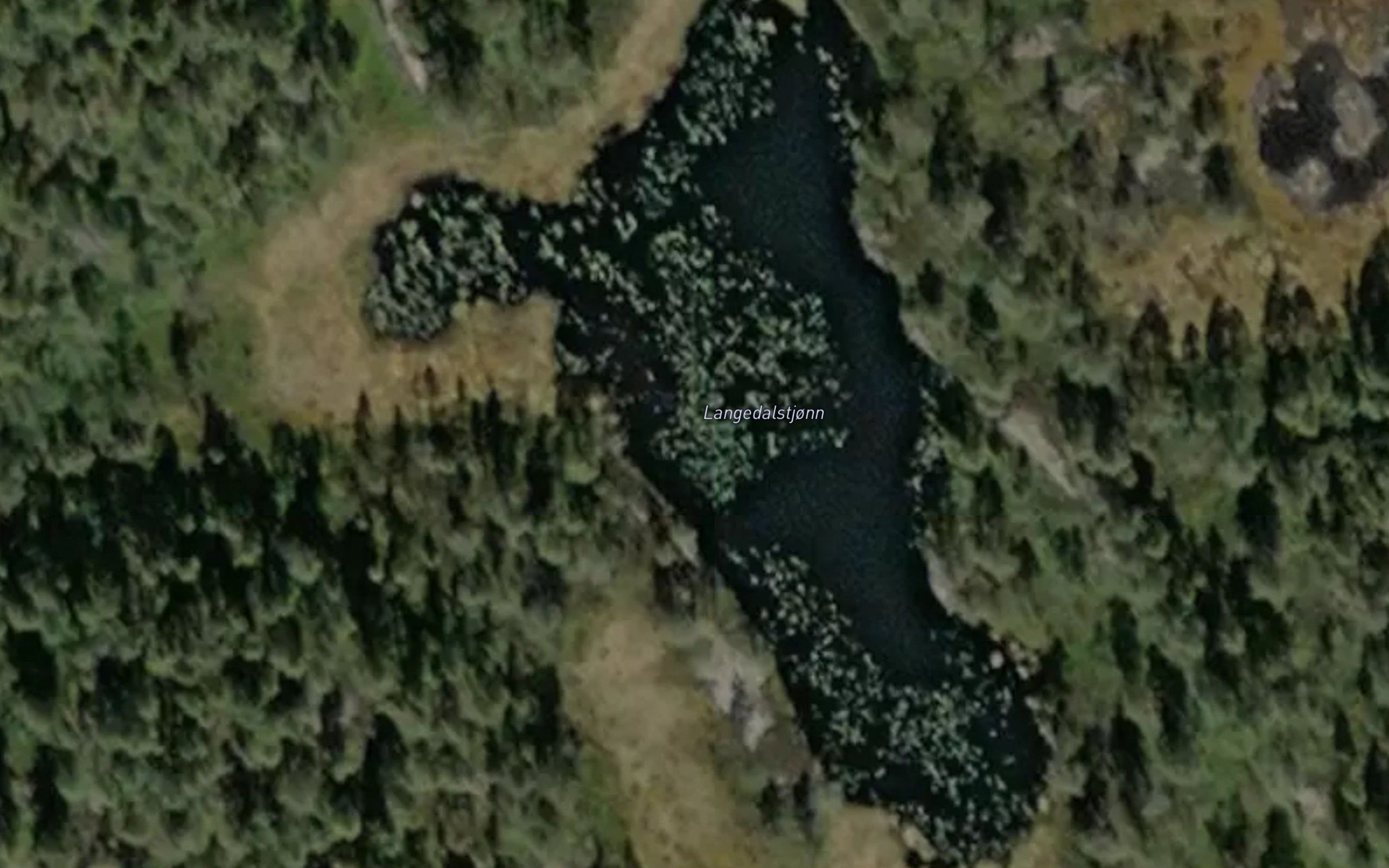 Langedalstjonn