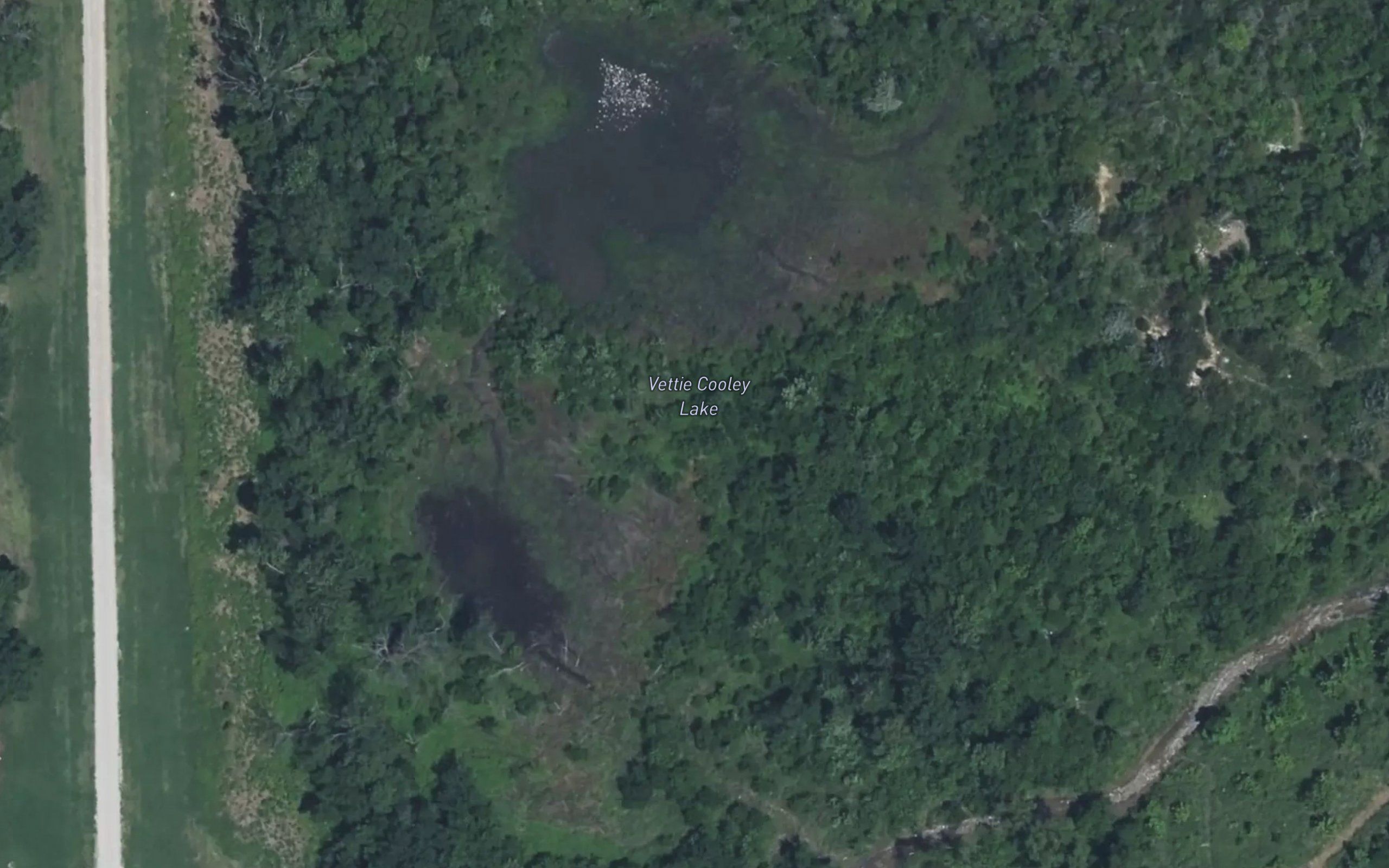 Vettie Cooley Lake