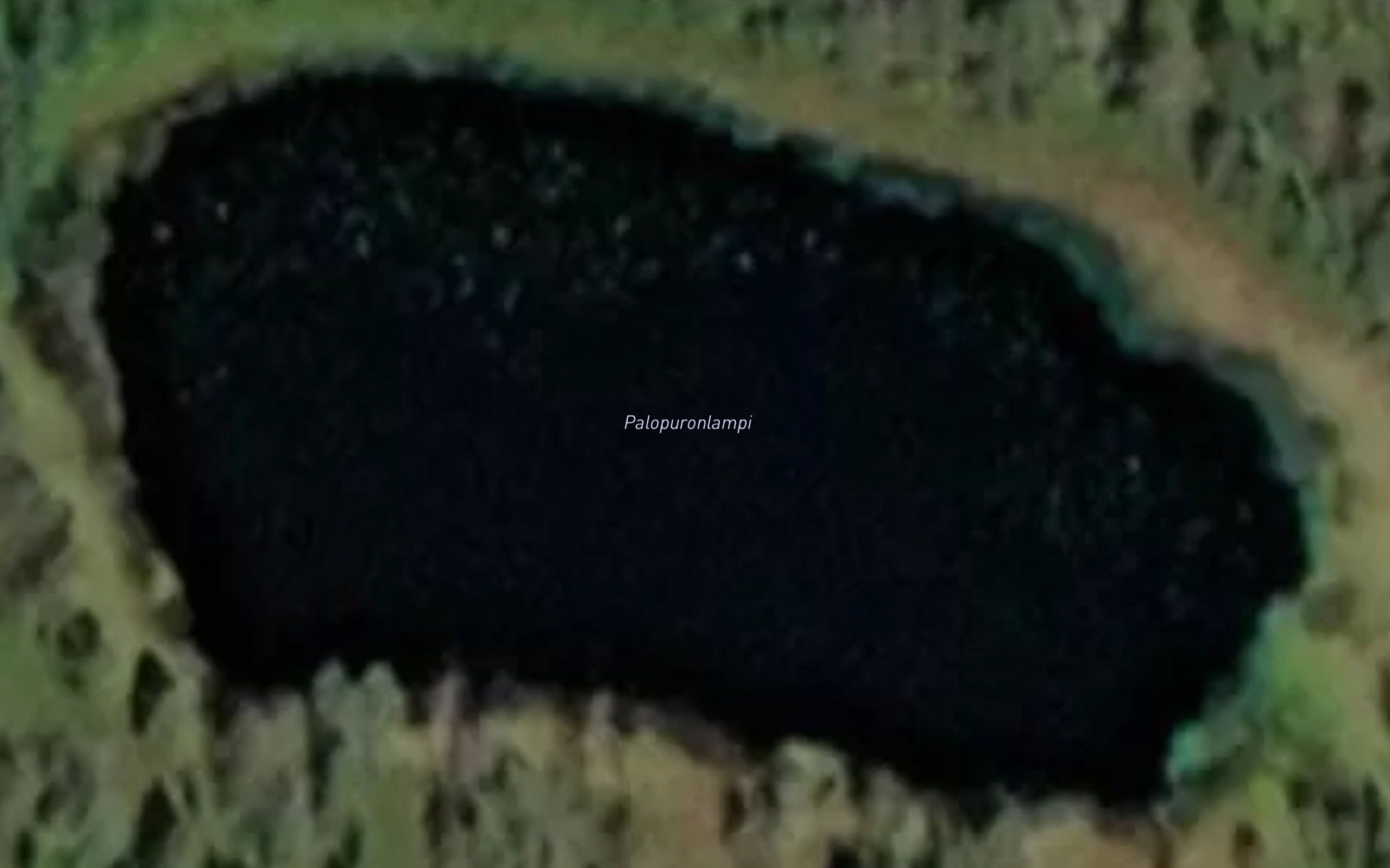 Palopuronlampi