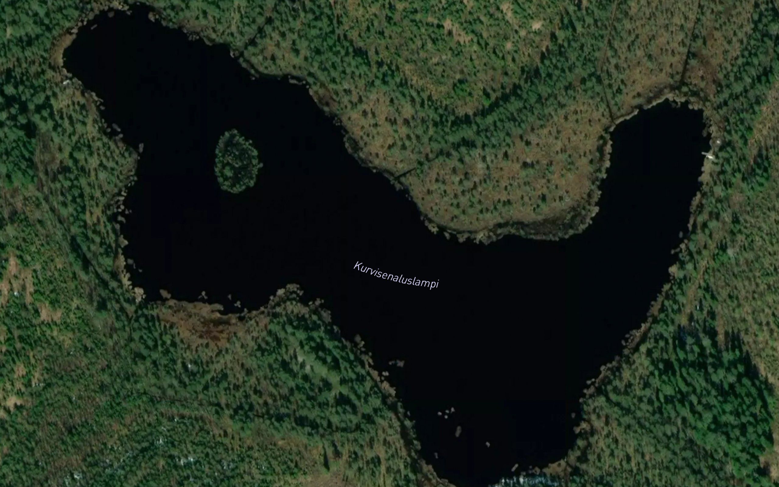 Kurvisenaluslampi