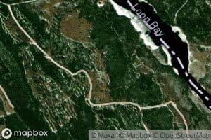 Trout Brook