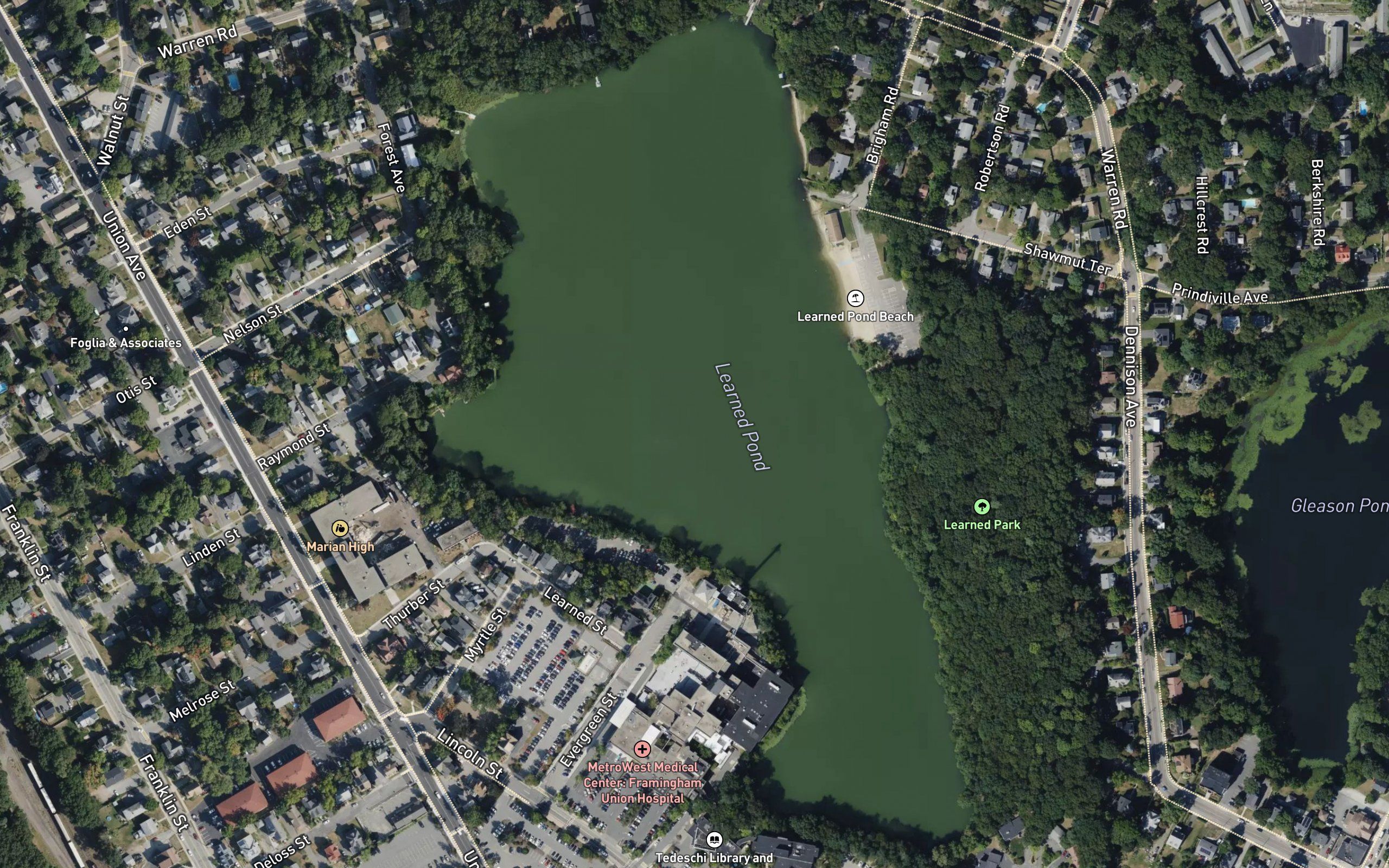 Learned Pond