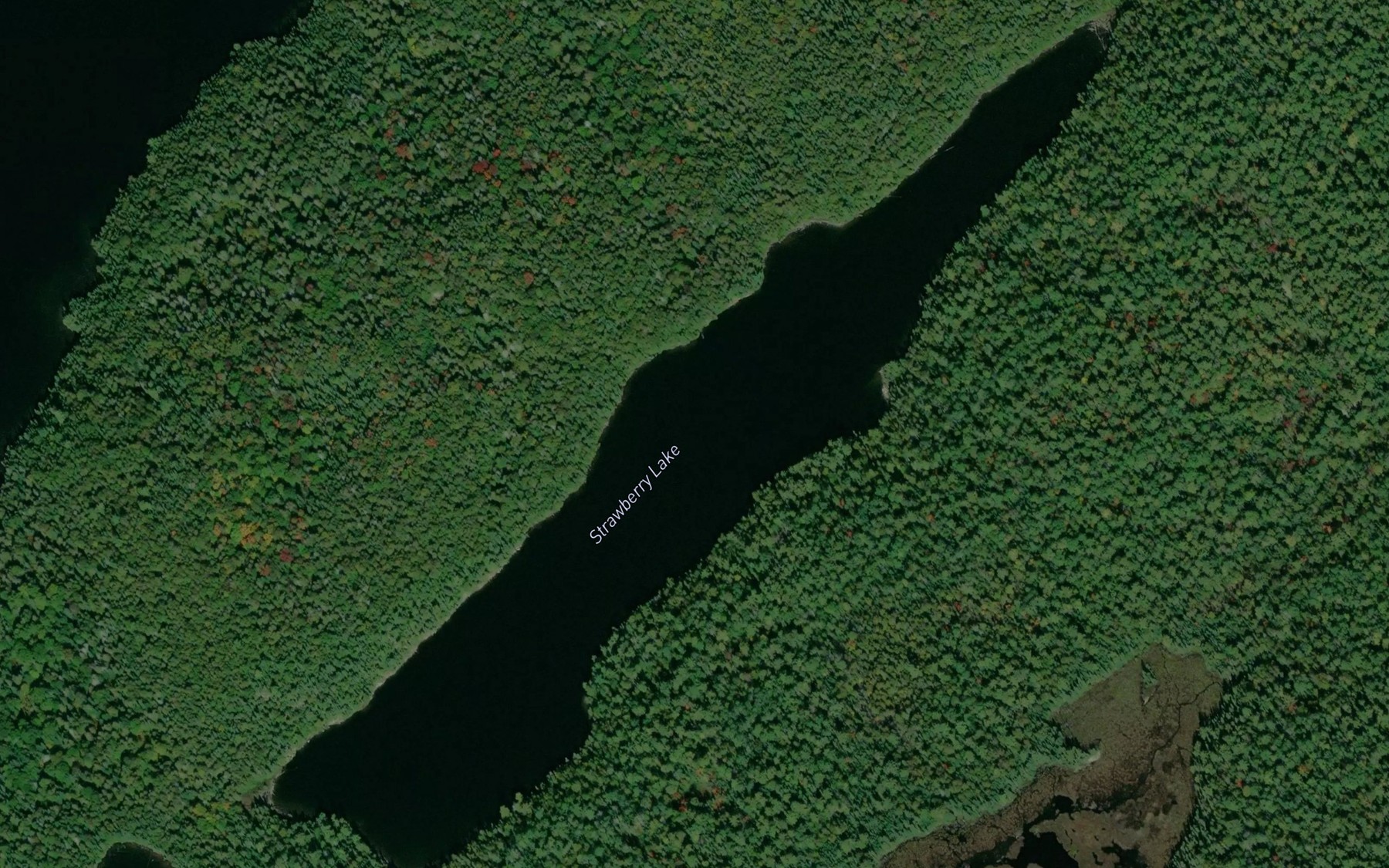 Satellite map of the Strawberry Lake