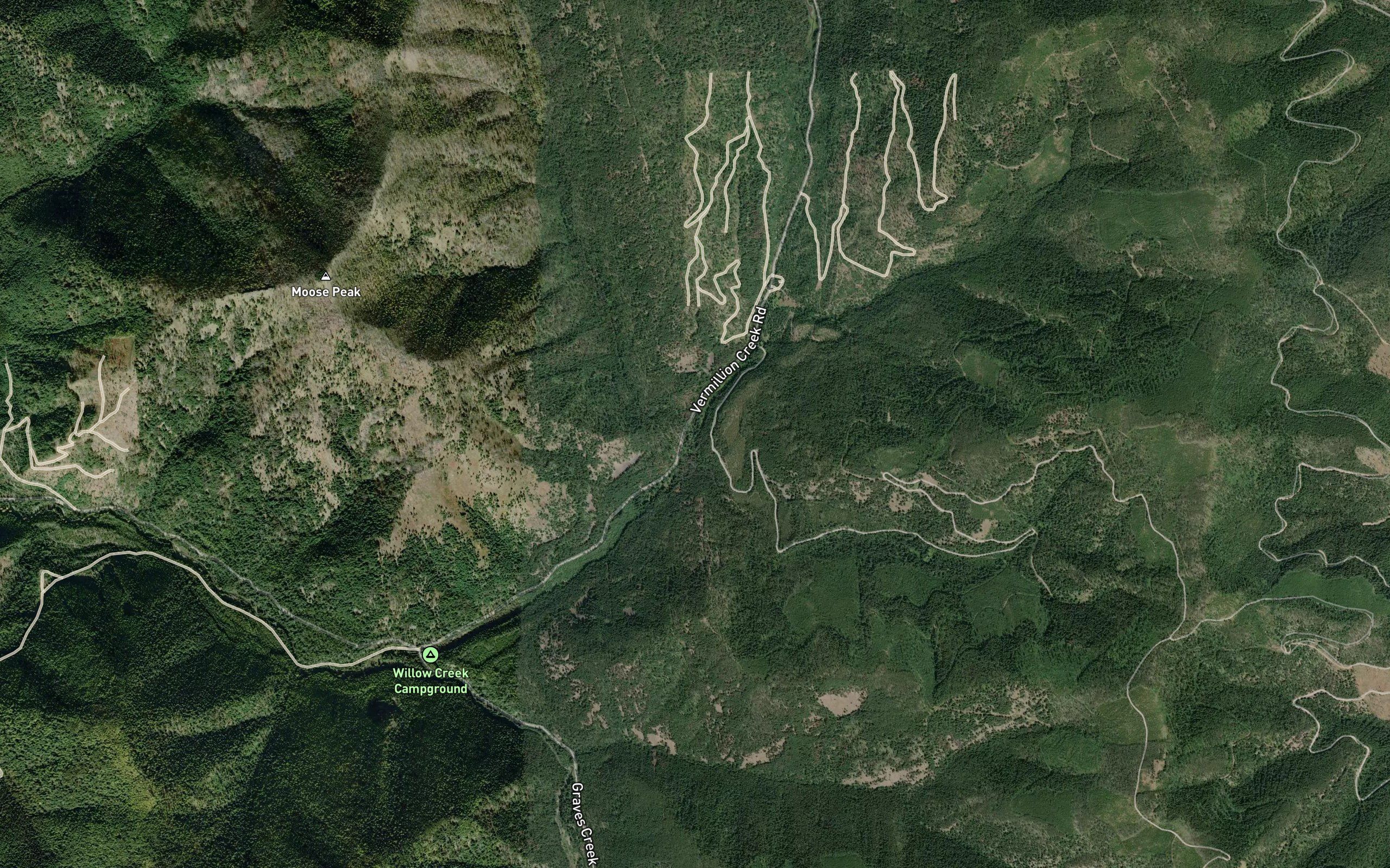 Blacktail Creek