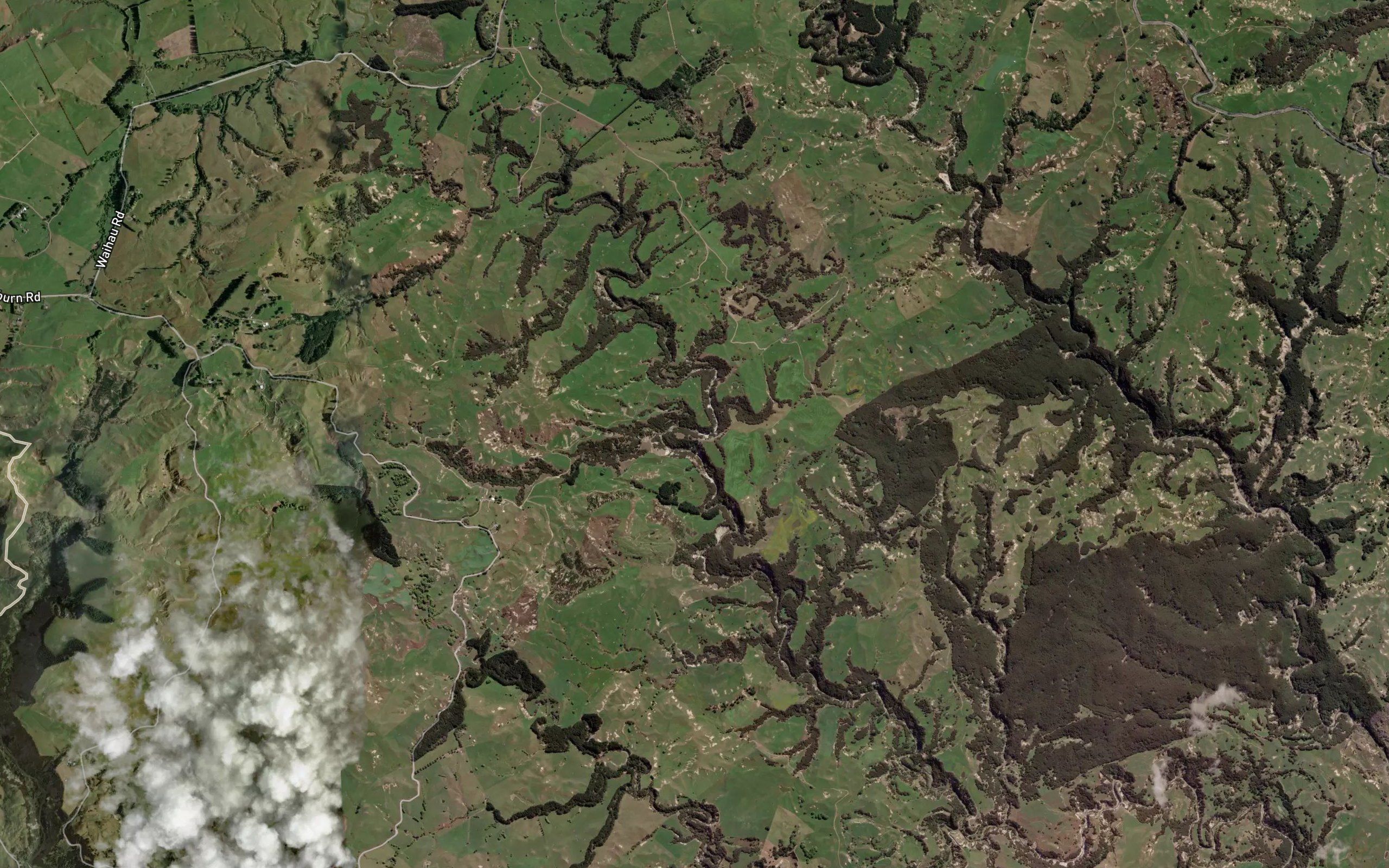 Waihau Stream