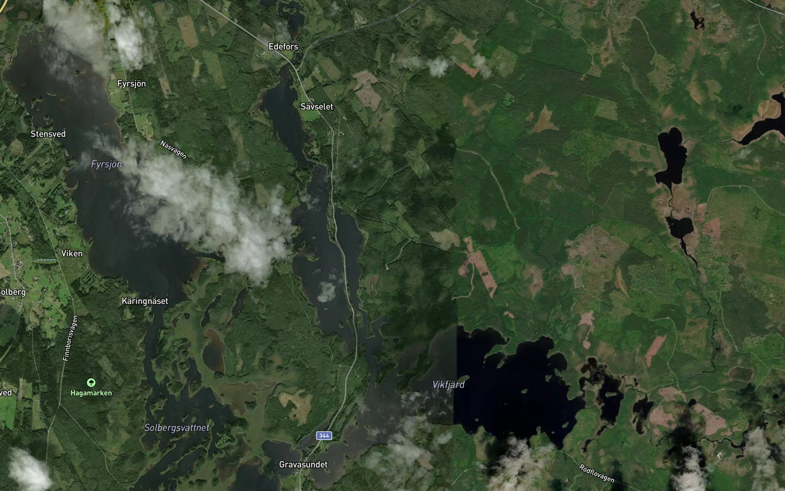 Vikfjard
