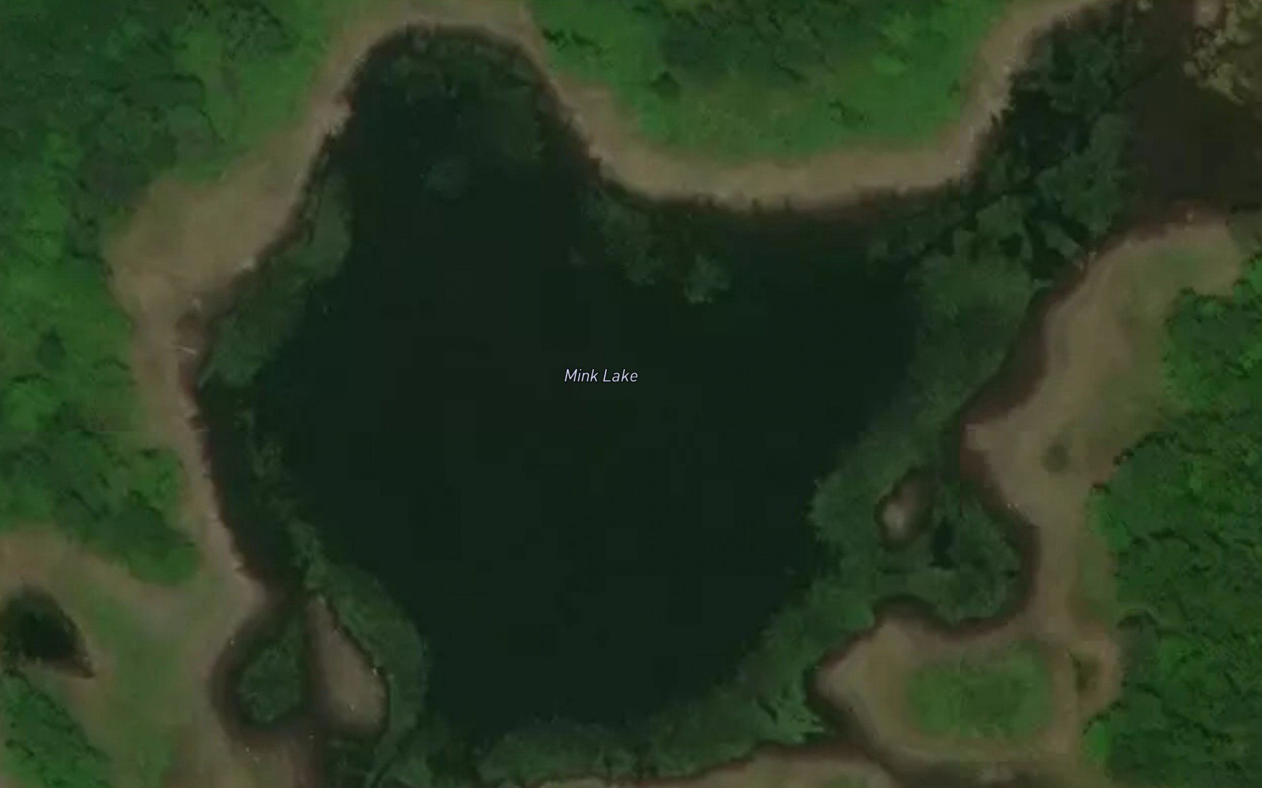 Mink Lake