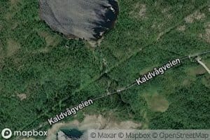 Skjevagelva