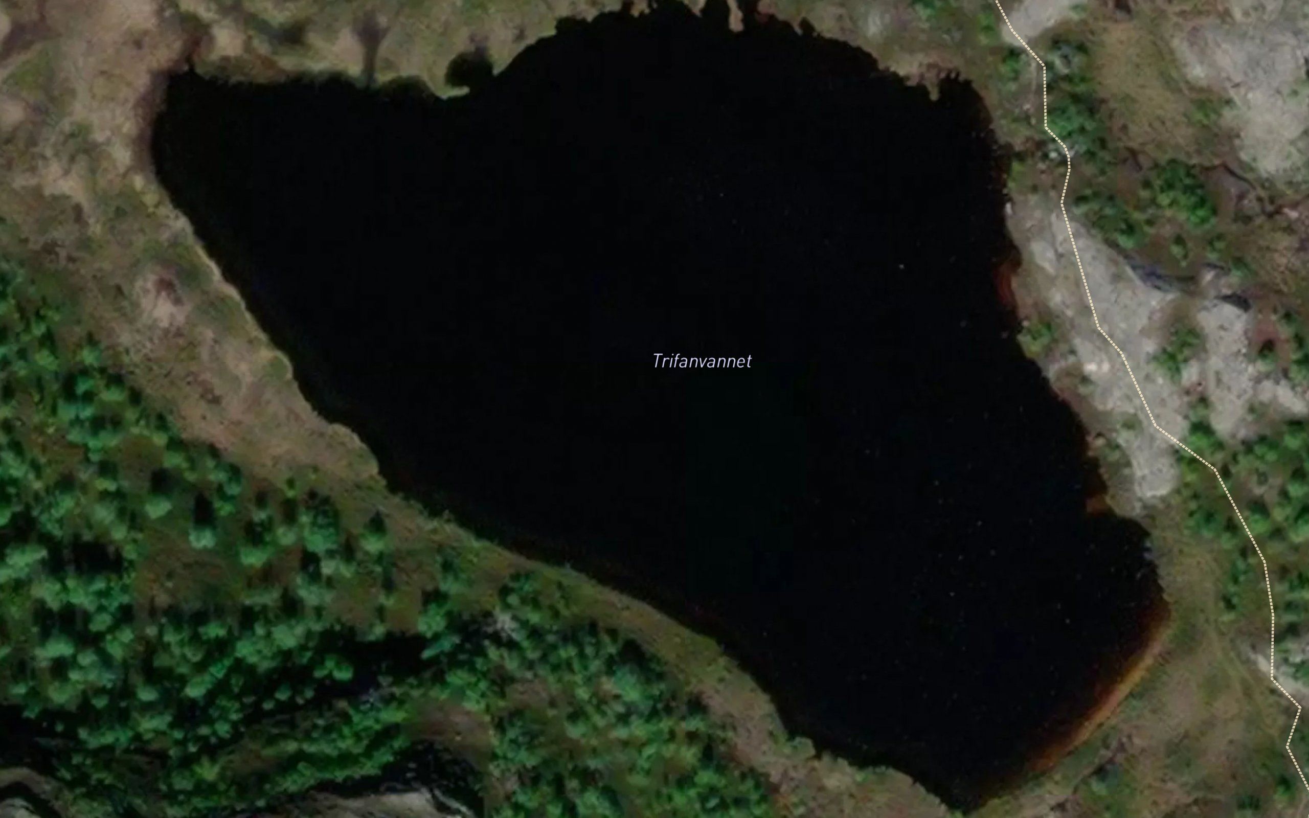 Trifonvatn