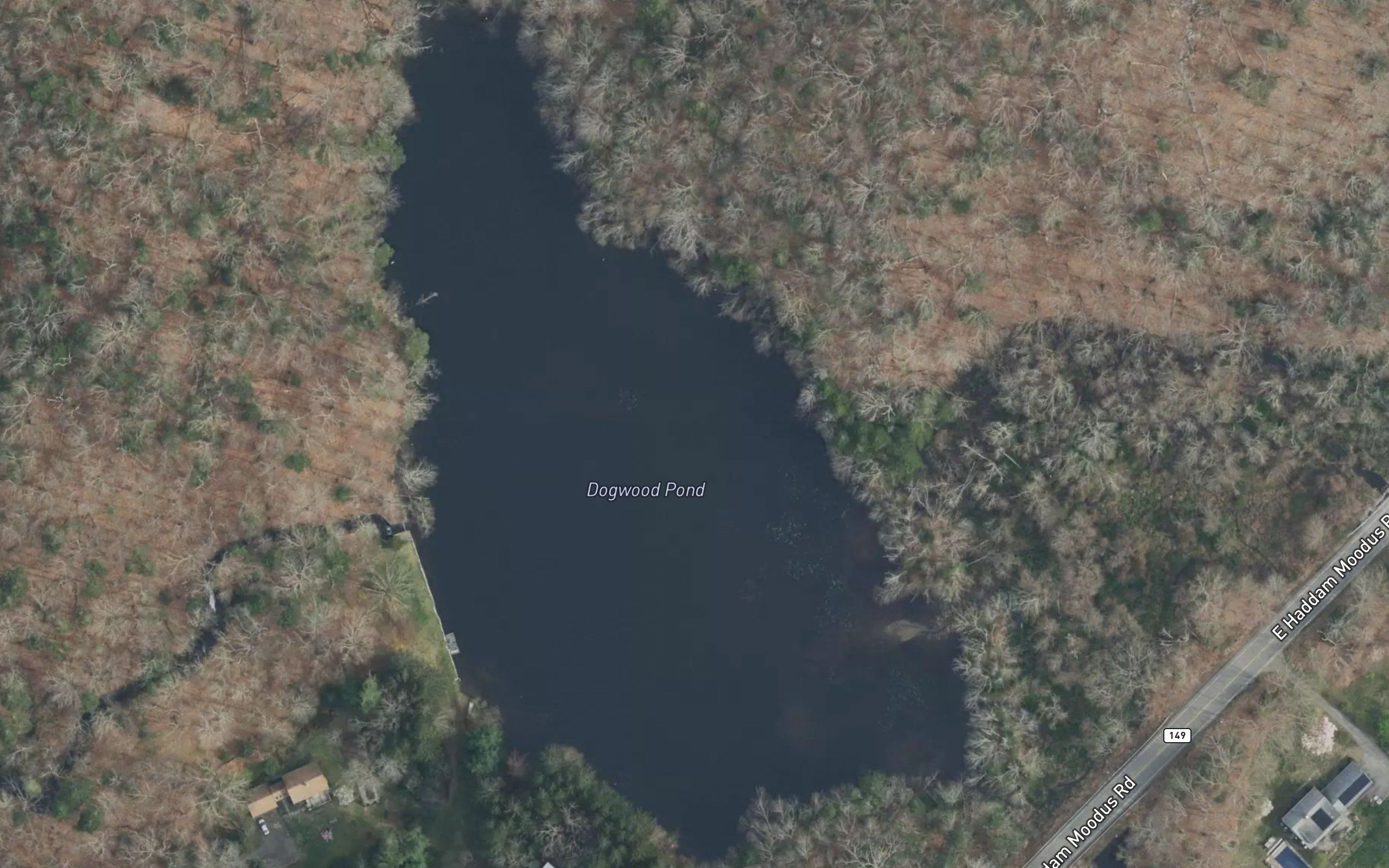 Dogwood Pond