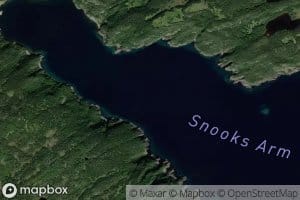 Snooks Arm