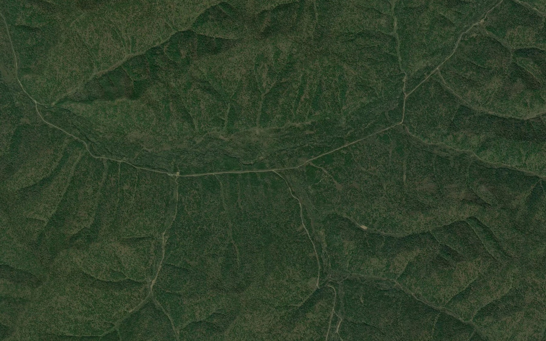 Satellite map of the Garazhnyy