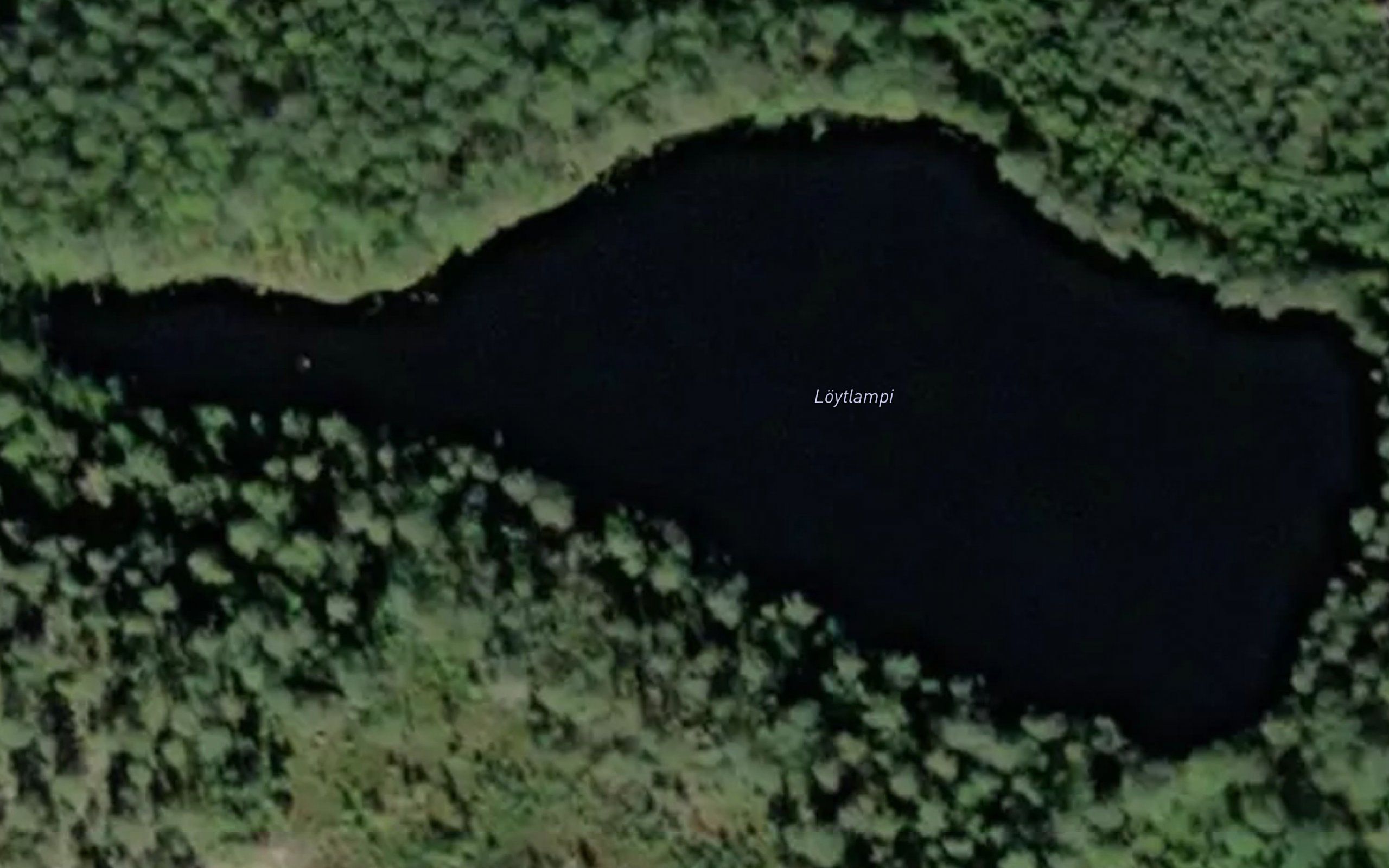 Loytlampi