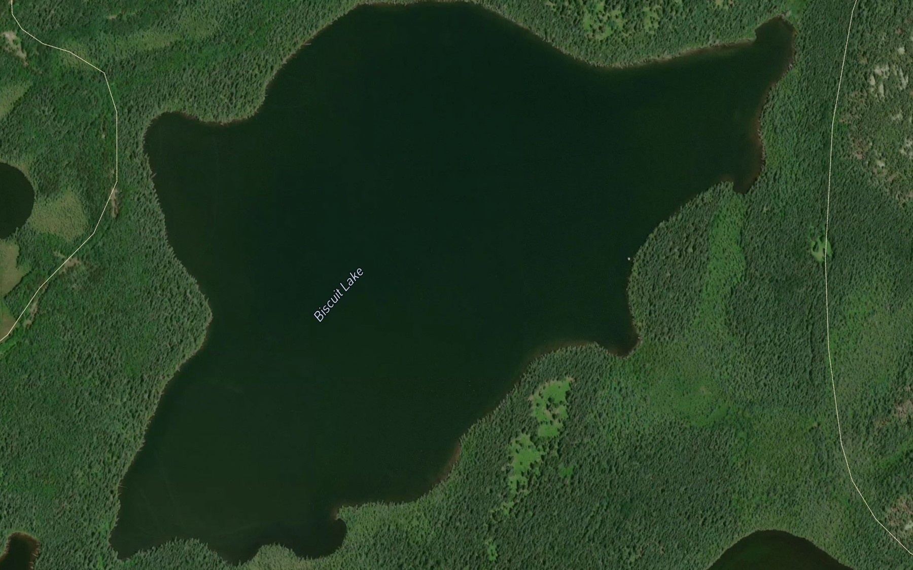 Satellite map of the Biscuit Lake