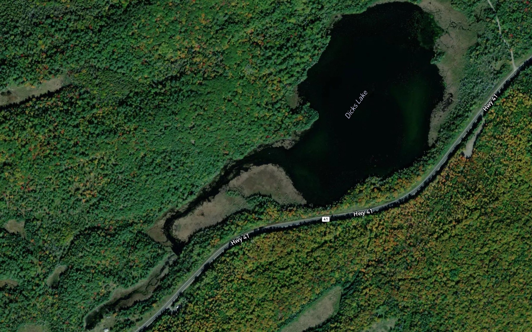 Satellite map of the Dicks Lake