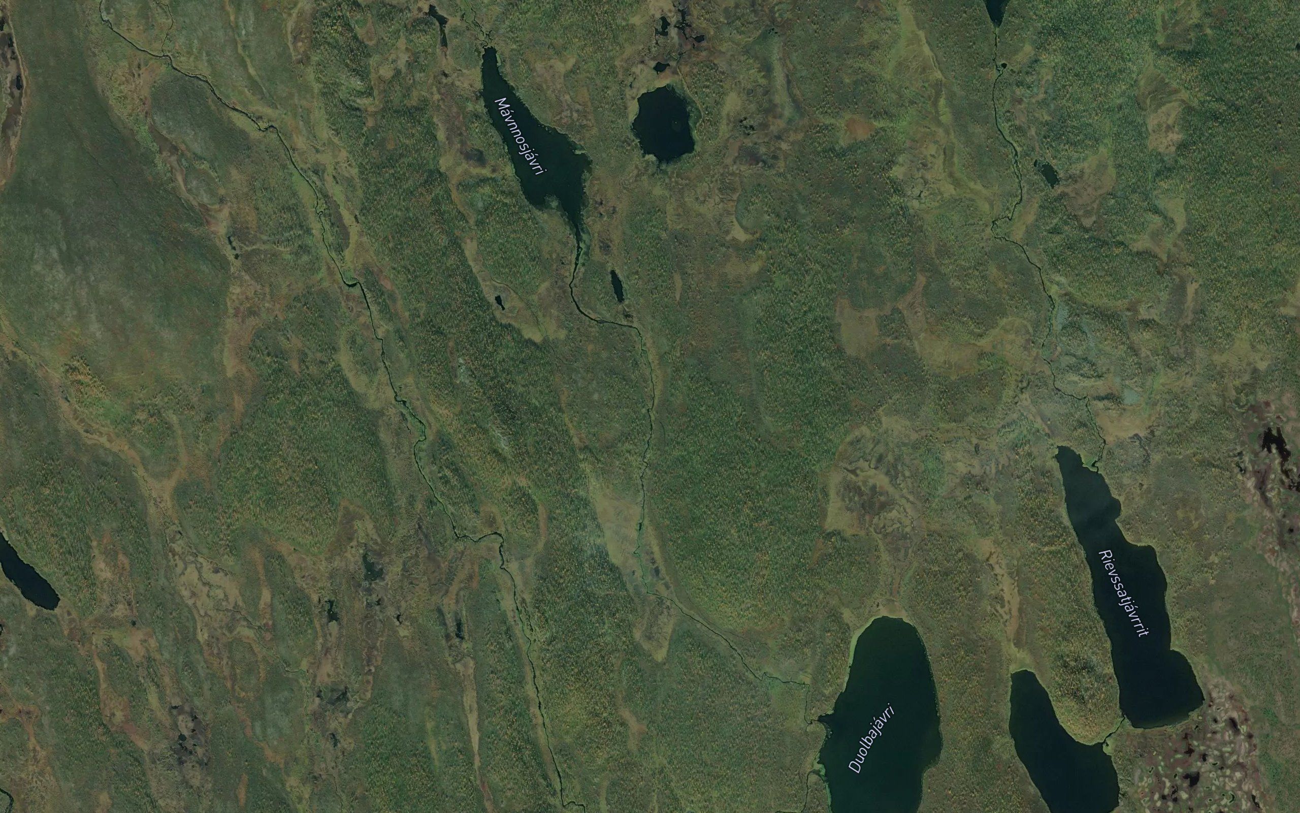 Mavnusjakka