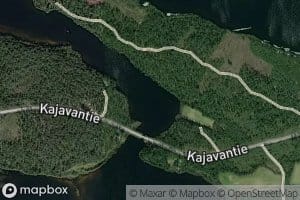 Salmenmutka