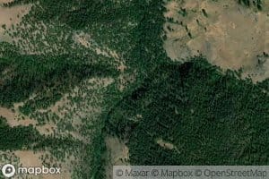 Wyant Creek