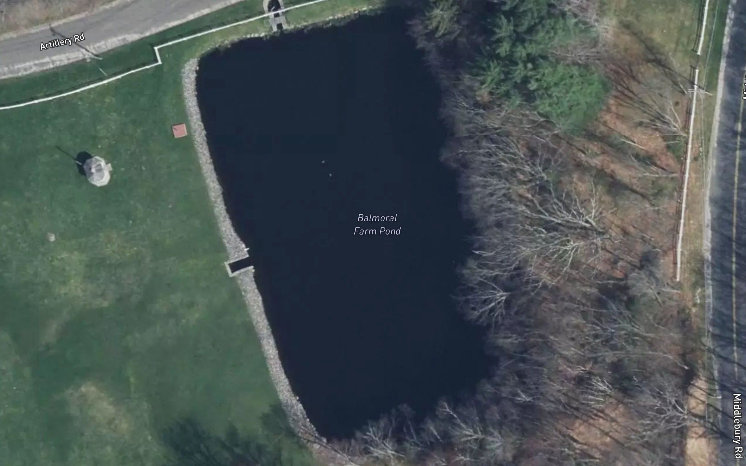 Balmoral Farm Pond