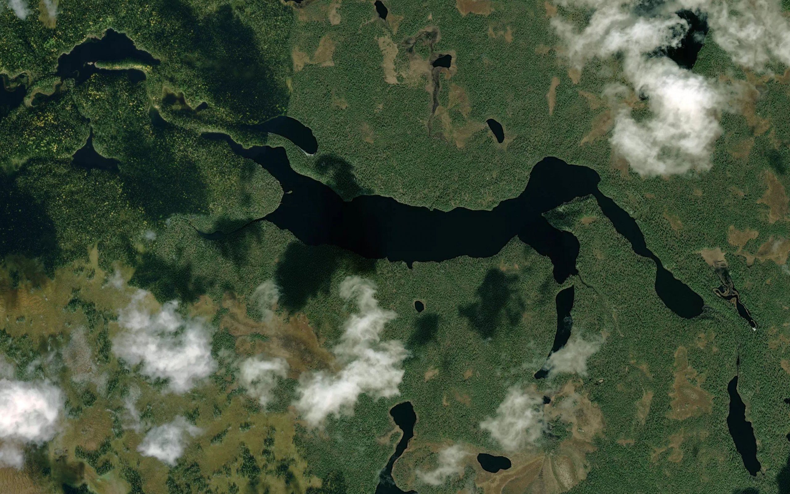 Ozero Shepetovskoye