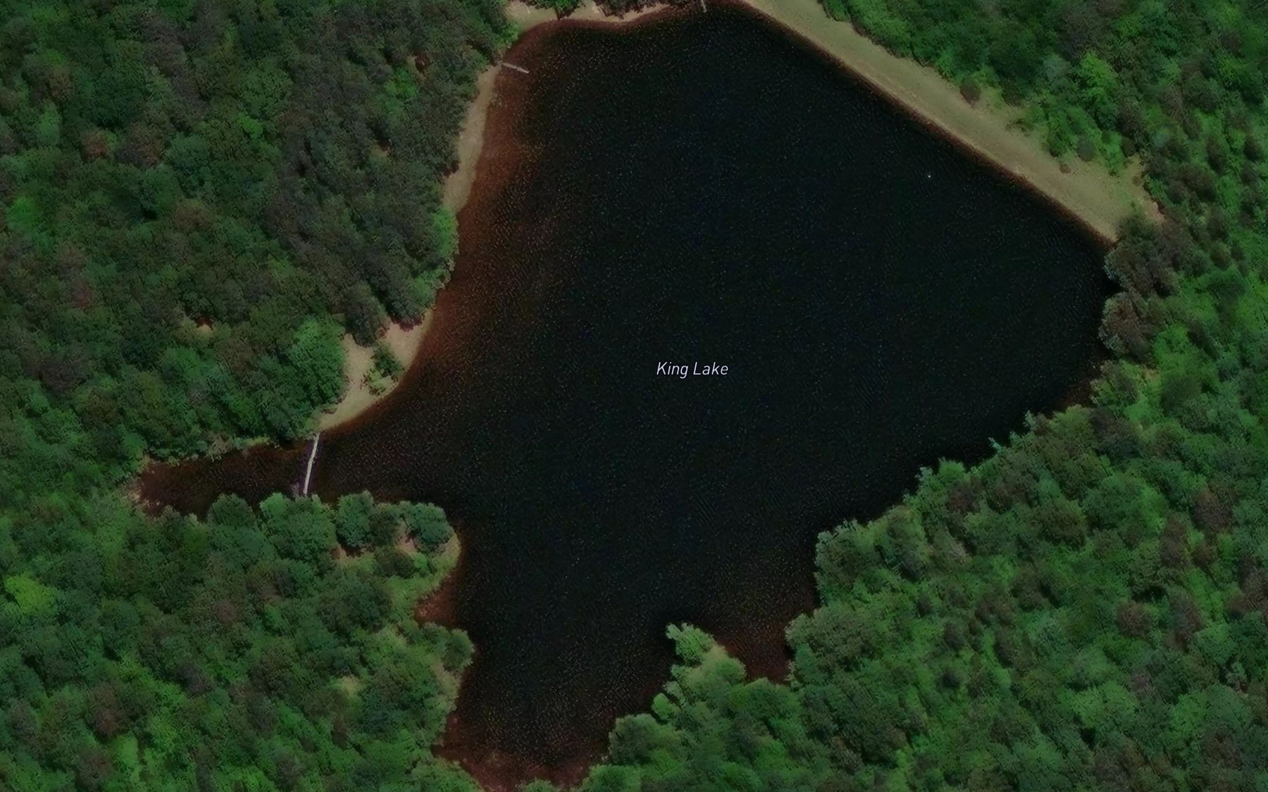 Satellite map of the King Lake