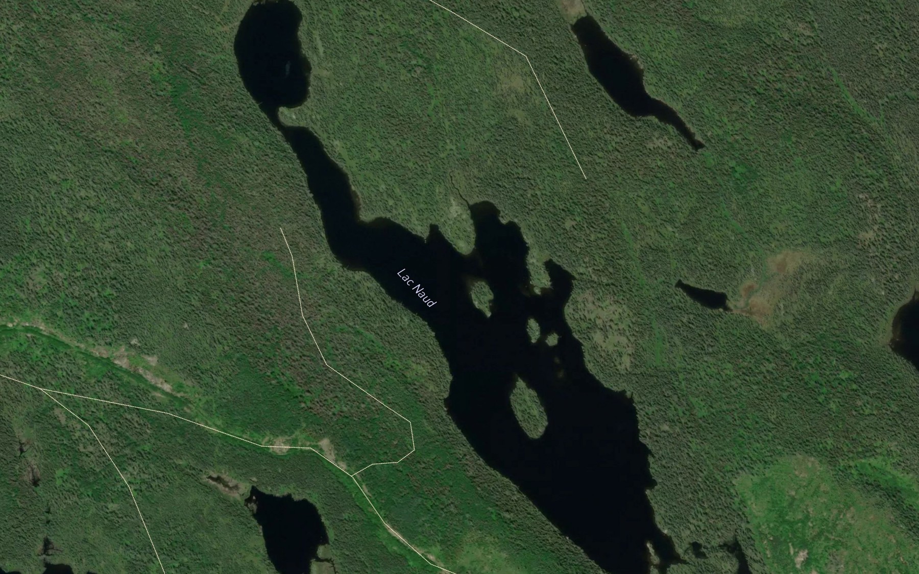 Satellite map of the Lac Naud