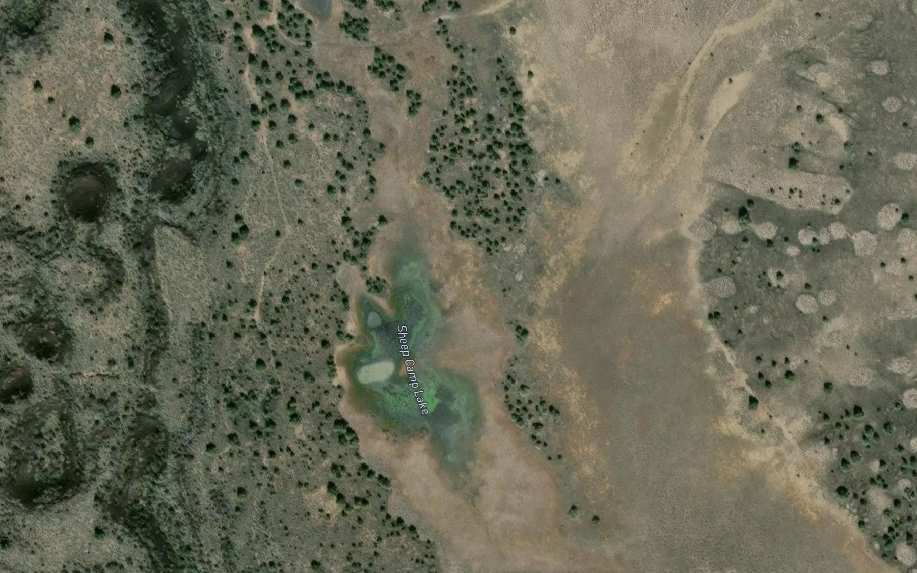 Satellite map of the Sheep Camp Lake
