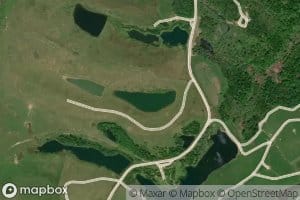 Ohio Power Company Pond Mum-90